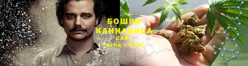 Бошки марихуана Amnesia  где купить наркоту  Белебей 